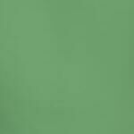 Imagem da Cor do Produto Regata Feminina Verde em Crepe com Decote U - Versátil e Elegante